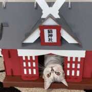 ヒメ日記 2025/04/23 15:41 投稿 利沙子 越谷熟女デリヘル マダムエプロン