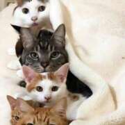 ヒメ日記 2025/04/29 21:35 投稿 利沙子 越谷熟女デリヘル マダムエプロン