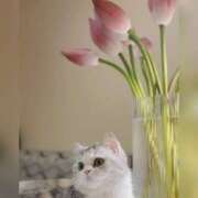 ヒメ日記 2025/05/01 16:00 投稿 利沙子 越谷熟女デリヘル マダムエプロン