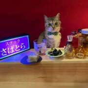 ヒメ日記 2025/05/07 22:56 投稿 利沙子 越谷熟女デリヘル マダムエプロン