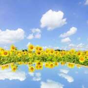 ヒメ日記 2025/05/21 00:02 投稿 利沙子 越谷熟女デリヘル マダムエプロン