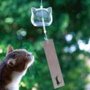 ヒメ日記 2025/05/25 23:22 投稿 利沙子 越谷熟女デリヘル マダムエプロン