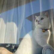 ヒメ日記 2025/05/26 12:10 投稿 利沙子 越谷熟女デリヘル マダムエプロン