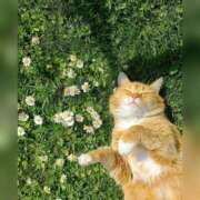 ヒメ日記 2025/05/27 22:42 投稿 利沙子 越谷熟女デリヘル マダムエプロン