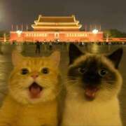 ヒメ日記 2025/06/01 23:47 投稿 利沙子 越谷熟女デリヘル マダムエプロン