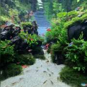 ヒメ日記 2025/06/05 14:57 投稿 利沙子 越谷熟女デリヘル マダムエプロン