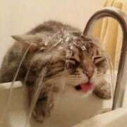 ヒメ日記 2025/06/07 19:27 投稿 利沙子 越谷熟女デリヘル マダムエプロン