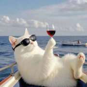 ヒメ日記 2025/06/19 12:32 投稿 利沙子 越谷熟女デリヘル マダムエプロン