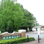 ヒメ日記 2025/06/20 23:53 投稿 利沙子 越谷熟女デリヘル マダムエプロン