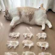 ヒメ日記 2025/06/29 00:11 投稿 利沙子 越谷熟女デリヘル マダムエプロン