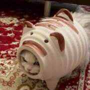 ヒメ日記 2025/07/03 21:03 投稿 利沙子 越谷熟女デリヘル マダムエプロン