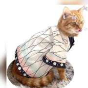 ヒメ日記 2025/07/19 18:23 投稿 利沙子 越谷熟女デリヘル マダムエプロン