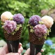 ヒメ日記 2025/07/22 14:04 投稿 利沙子 越谷熟女デリヘル マダムエプロン