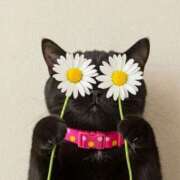 ヒメ日記 2025/07/22 21:47 投稿 利沙子 越谷熟女デリヘル マダムエプロン