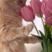 ヒメ日記 2025/07/26 19:23 投稿 利沙子 越谷熟女デリヘル マダムエプロン