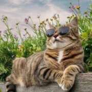 ヒメ日記 2025/07/29 23:59 投稿 利沙子 越谷熟女デリヘル マダムエプロン