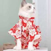 ヒメ日記 2025/07/31 22:05 投稿 利沙子 越谷熟女デリヘル マダムエプロン