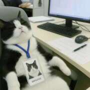 ヒメ日記 2025/08/20 14:41 投稿 利沙子 越谷熟女デリヘル マダムエプロン