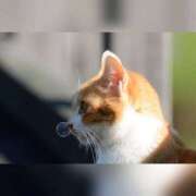 ヒメ日記 2025/08/22 14:48 投稿 利沙子 越谷熟女デリヘル マダムエプロン