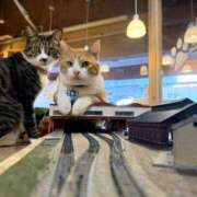 ヒメ日記 2025/08/26 10:48 投稿 利沙子 越谷熟女デリヘル マダムエプロン