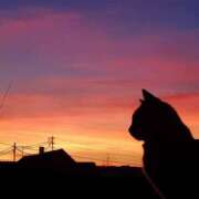 ヒメ日記 2025/08/28 23:34 投稿 利沙子 越谷熟女デリヘル マダムエプロン