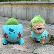 ヒメ日記 2025/09/10 23:14 投稿 利沙子 越谷熟女デリヘル マダムエプロン