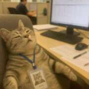 ヒメ日記 2025/09/16 15:37 投稿 利沙子 越谷熟女デリヘル マダムエプロン