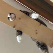 ヒメ日記 2025/09/18 22:55 投稿 利沙子 越谷熟女デリヘル マダムエプロン