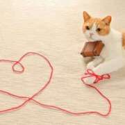 ヒメ日記 2025/09/22 20:16 投稿 利沙子 越谷熟女デリヘル マダムエプロン