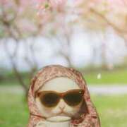 ヒメ日記 2025/09/23 18:31 投稿 利沙子 越谷熟女デリヘル マダムエプロン