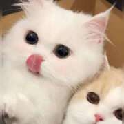 ヒメ日記 2025/09/26 00:24 投稿 利沙子 越谷熟女デリヘル マダムエプロン