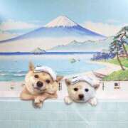 ヒメ日記 2025/10/07 11:08 投稿 利沙子 越谷熟女デリヘル マダムエプロン