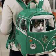 ヒメ日記 2025/10/08 23:57 投稿 利沙子 越谷熟女デリヘル マダムエプロン