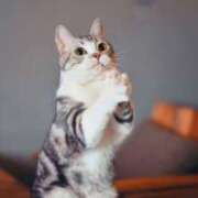 ヒメ日記 2025/10/09 23:52 投稿 利沙子 越谷熟女デリヘル マダムエプロン