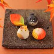 ヒメ日記 2025/10/21 13:57 投稿 利沙子 越谷熟女デリヘル マダムエプロン