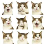 ヒメ日記 2025/10/23 16:31 投稿 利沙子 越谷熟女デリヘル マダムエプロン