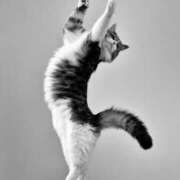 ヒメ日記 2025/10/29 14:19 投稿 利沙子 越谷熟女デリヘル マダムエプロン