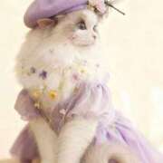 ヒメ日記 2025/11/04 00:05 投稿 利沙子 越谷熟女デリヘル マダムエプロン