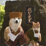 ヒメ日記 2025/11/13 00:04 投稿 利沙子 越谷熟女デリヘル マダムエプロン