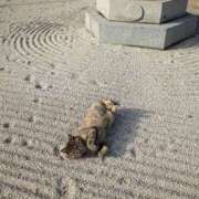 ヒメ日記 2025/11/15 01:40 投稿 利沙子 越谷熟女デリヘル マダムエプロン