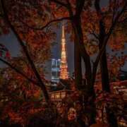 ヒメ日記 2025/11/22 23:45 投稿 利沙子 越谷熟女デリヘル マダムエプロン