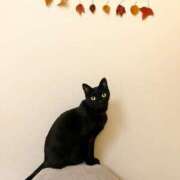 ヒメ日記 2025/11/29 11:23 投稿 利沙子 越谷熟女デリヘル マダムエプロン