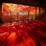 ヒメ日記 2025/11/29 21:35 投稿 利沙子 越谷熟女デリヘル マダムエプロン