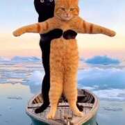 ヒメ日記 2025/12/05 22:40 投稿 利沙子 越谷熟女デリヘル マダムエプロン