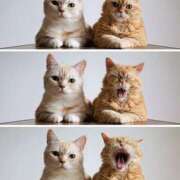 ヒメ日記 2025/12/14 23:25 投稿 利沙子 越谷熟女デリヘル マダムエプロン