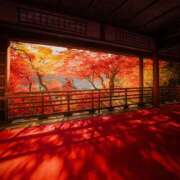 ヒメ日記 2025/12/16 23:37 投稿 利沙子 越谷熟女デリヘル マダムエプロン