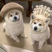 ヒメ日記 2025/12/22 21:41 投稿 利沙子 越谷熟女デリヘル マダムエプロン