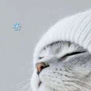 ヒメ日記 2025/12/30 11:11 投稿 利沙子 越谷熟女デリヘル マダムエプロン