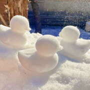 ヒメ日記 2026/01/07 14:51 投稿 利沙子 越谷熟女デリヘル マダムエプロン