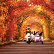 ヒメ日記 2026/01/17 14:23 投稿 利沙子 越谷熟女デリヘル マダムエプロン